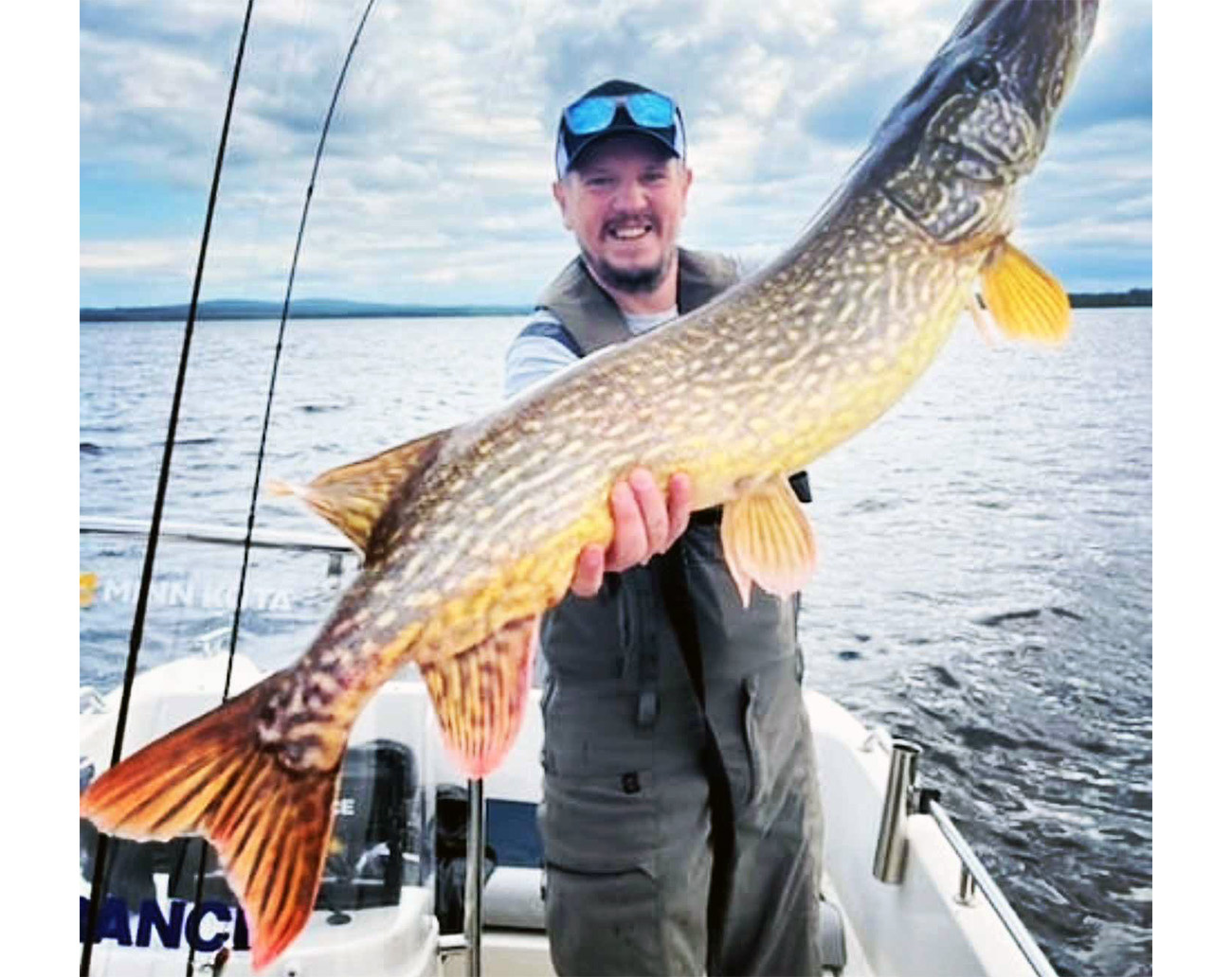 Holmström Bait Walle Boi